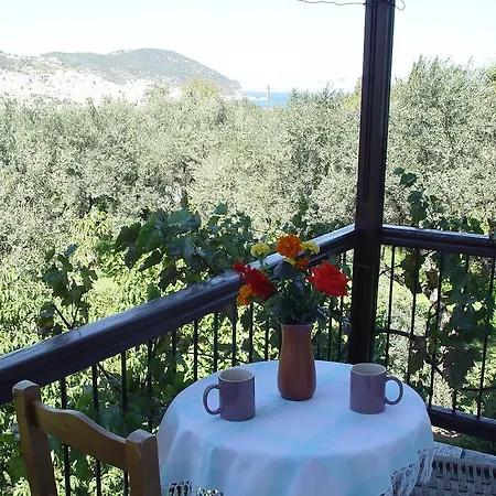Apartmán Platanakia *